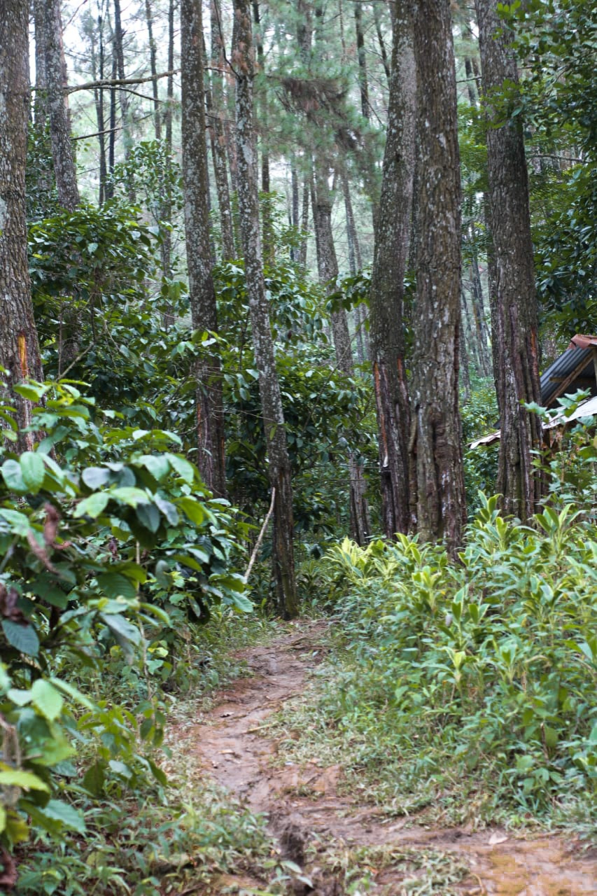 Trekking Gua Garunggang & Curug leuwi asih